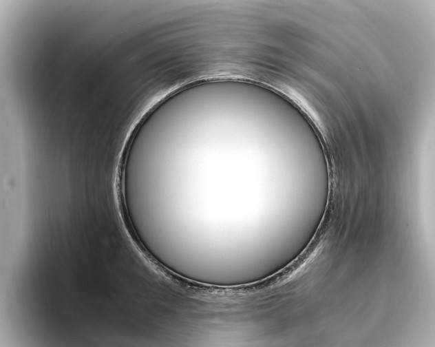 X0000094340901200711021147