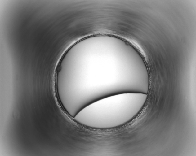 X0000094340903200711021147