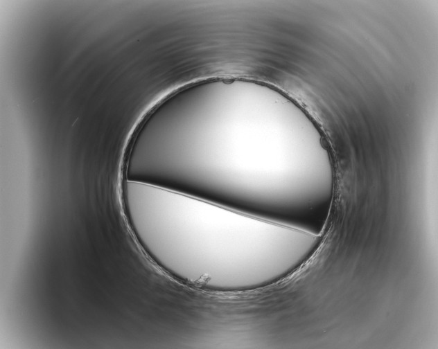 X0000094340904200711021147