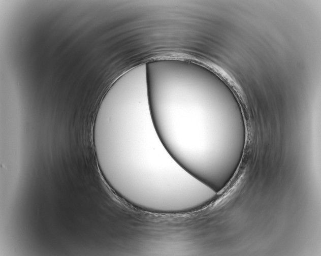 X0000094340905200711021147