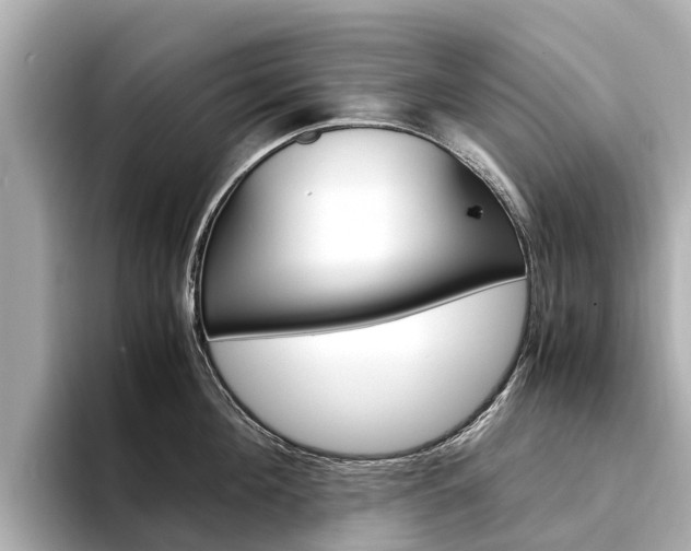 X0000094340908200711021147