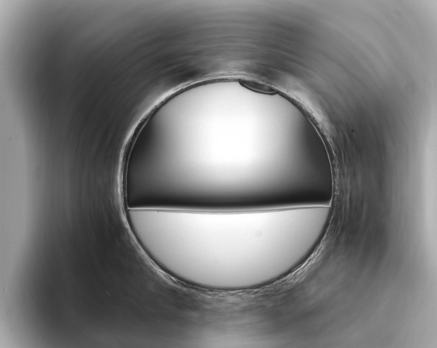 X0000094340910200711021147