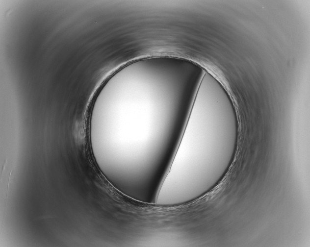X0000094340912200711021147