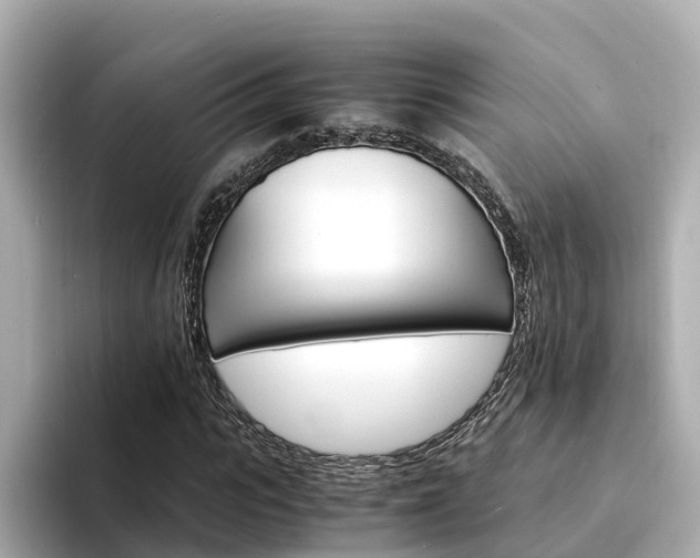 X0000094340919200711021146