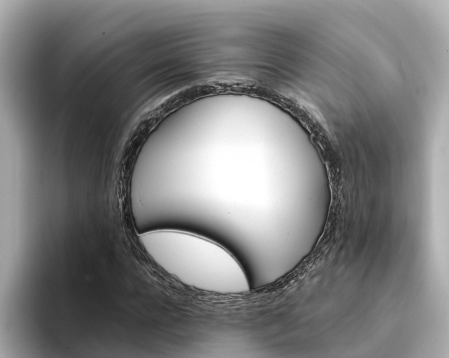 X0000094340920200711021146