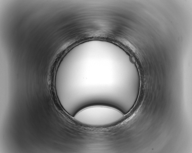 X0000094340922200711021146