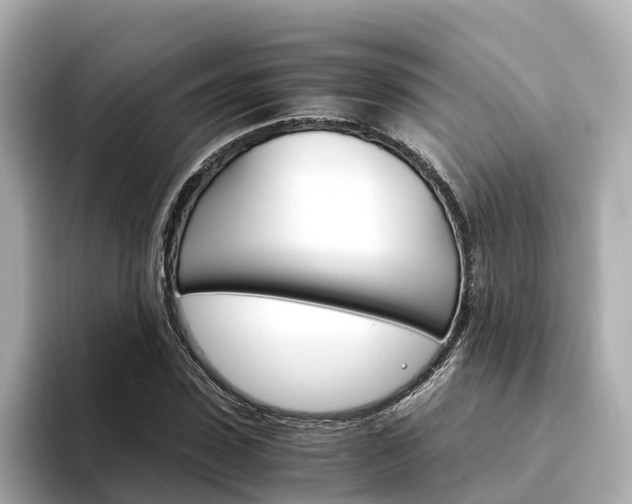X0000094340923200711021146