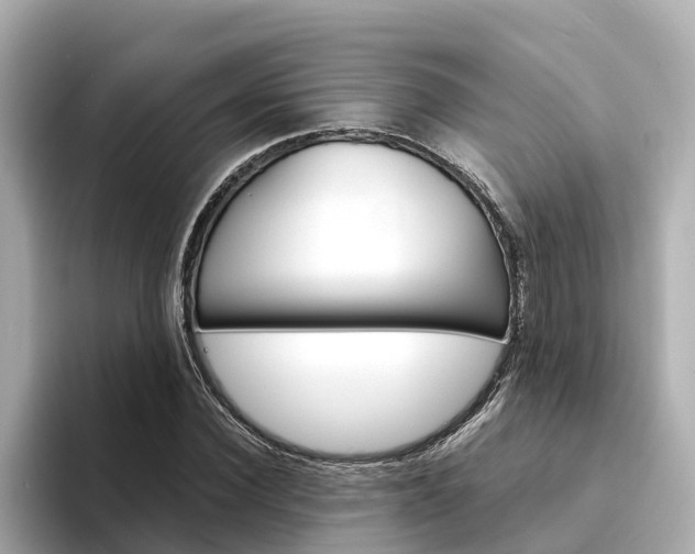 X0000094340924200711021146