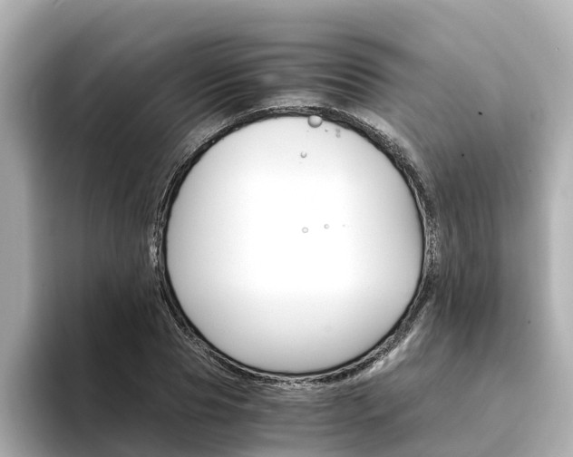 X0000094340929200711021146