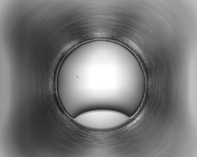 X0000094340930200711021146