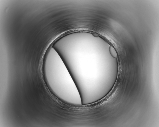X0000094340933200711021146