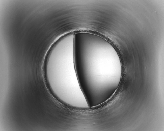 X0000094340934200711021146