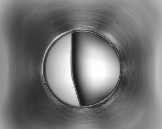 X0000094340940200711021146
