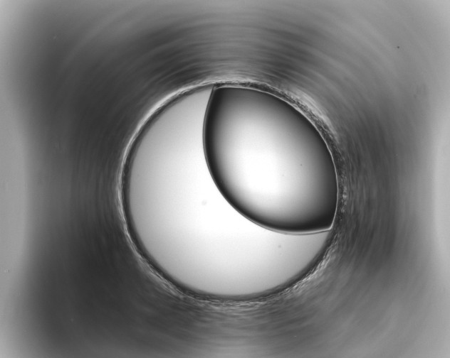 X0000094340942200711021146