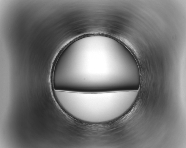 X0000094340943200711021147