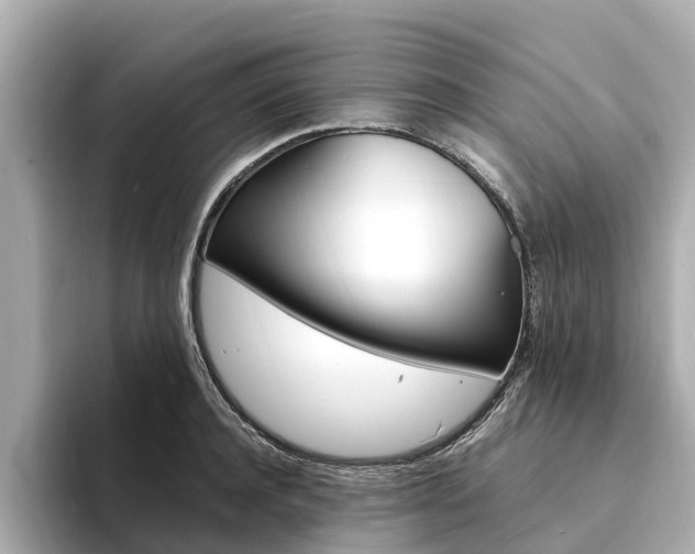 X0000094340944200711021147