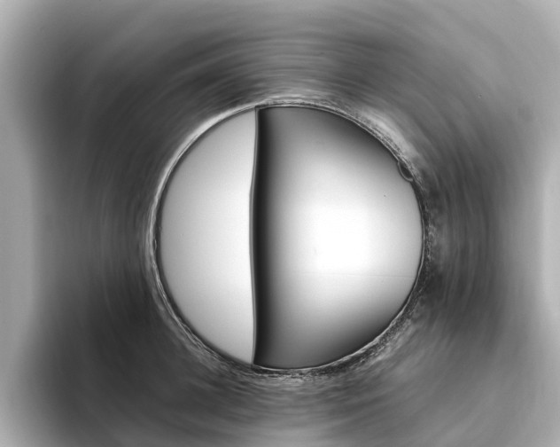 X0000094340948200711021147