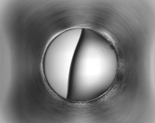 X0000094340952200711021147