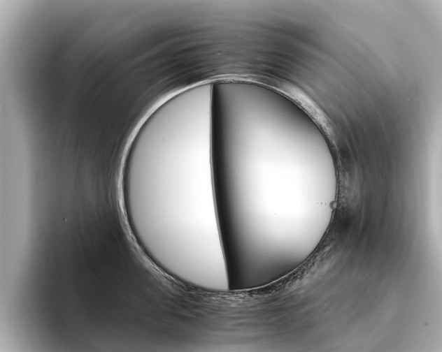 X0000094340955200711021147