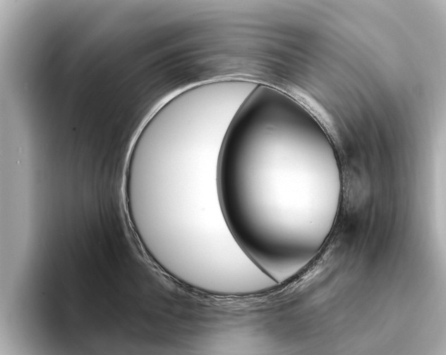 X0000094340956200711021147