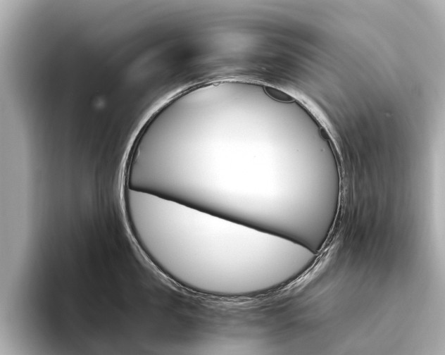 X0000094340957200711021147