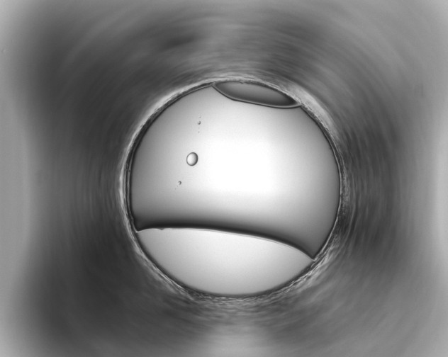 X0000094340958200711021147