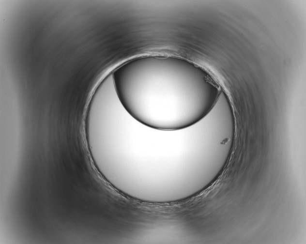 X0000094340960200711021147
