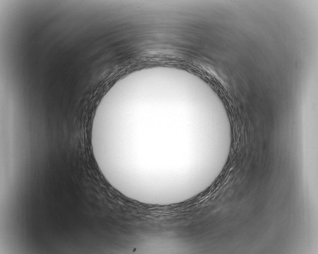 X0000094340965200711021146