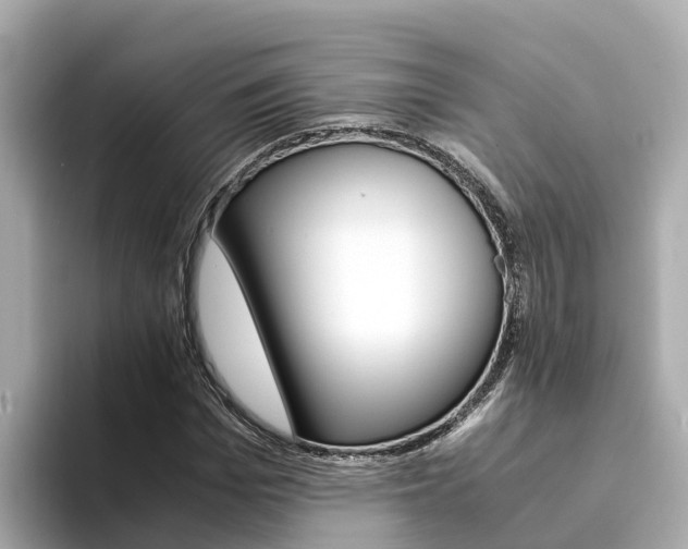 X0000094340969200711021146