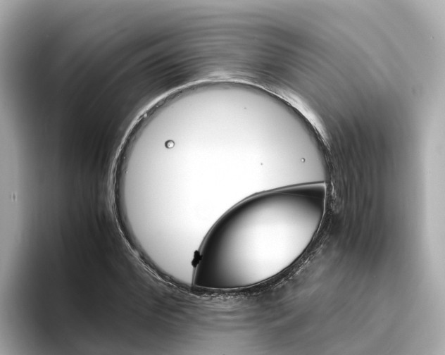 X0000094340972200711021146
