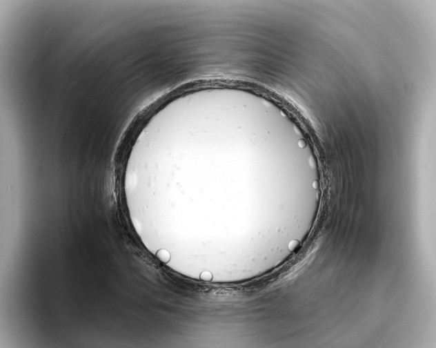 X0000094340974200711021146