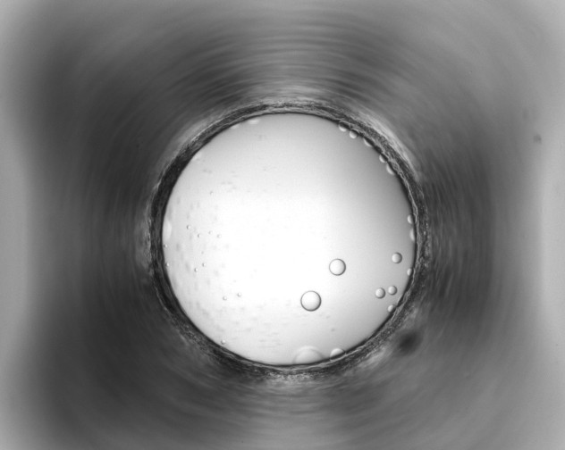 X0000094340978200711021146