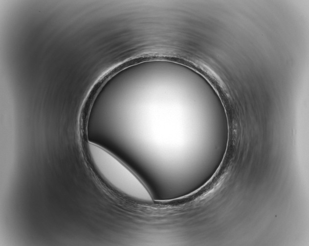 X0000094340981200711021146