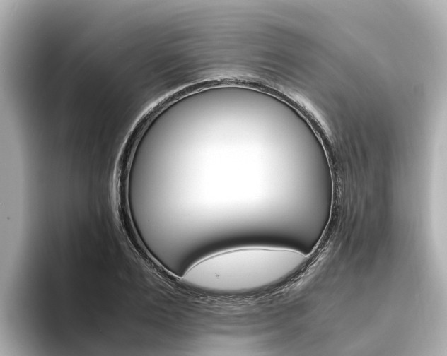X0000094340983200711021146