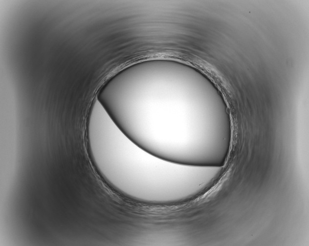 X0000094340985200711021146