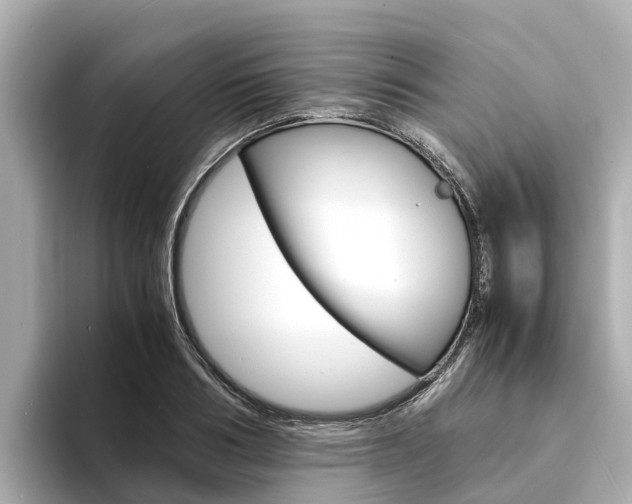 X0000094340986200711021146