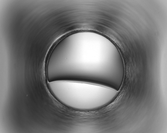 X0000094340988200711021146