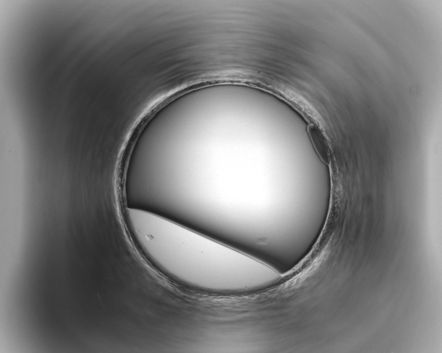 X0000094340989200711021146