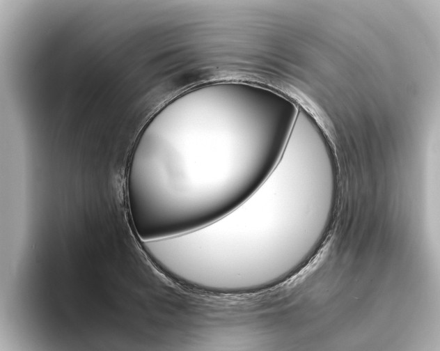 X0000094340993200711021146