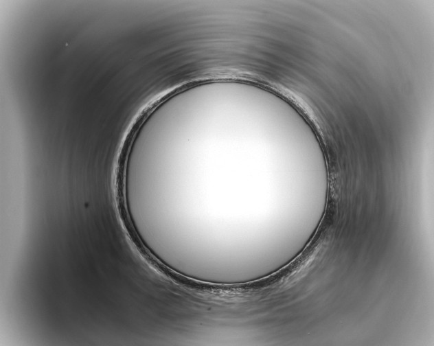 X0000094340995200711021146