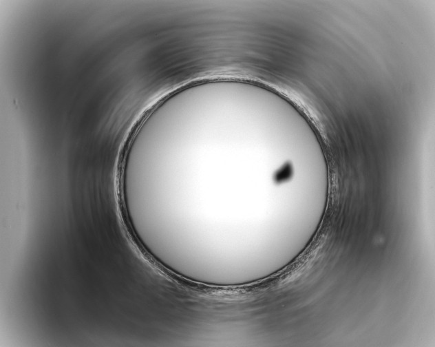 X0000094340998200711021146