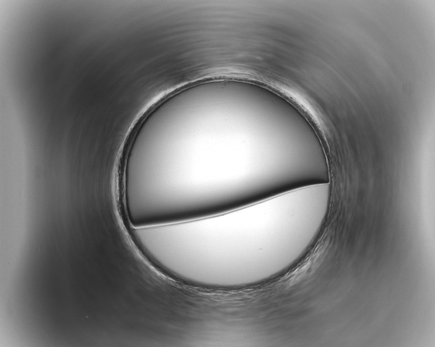 X0000094340999200711021146