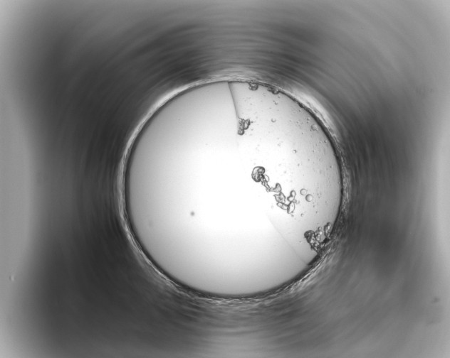 X0000094341000200711021146