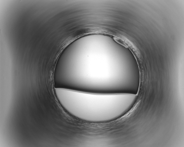 X0000094341001200711021146