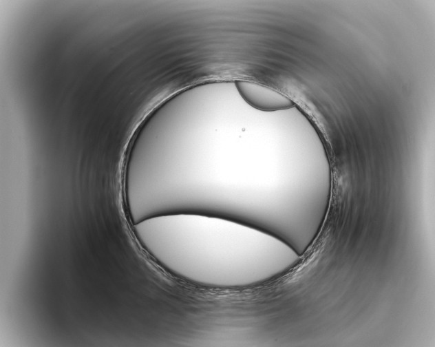 X0000094341002200711021146