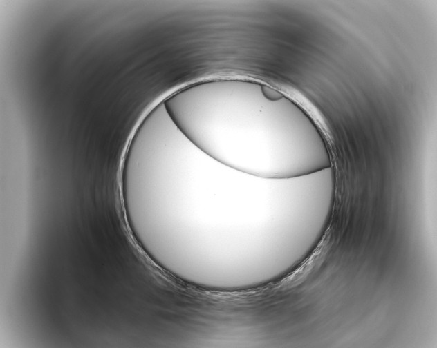 X0000094341004200711021146