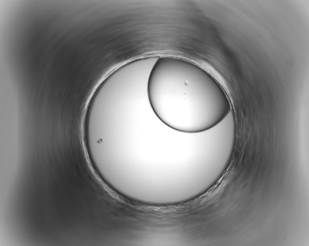 X0000094341005200711021146