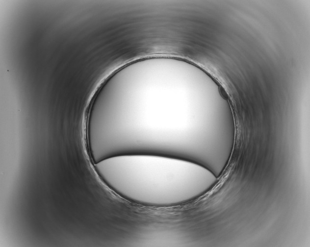 X0000094341006200711021146