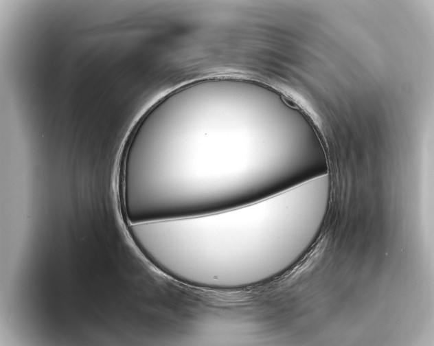 X0000094341007200711021146