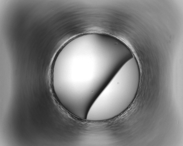 X0000094341008200711021146